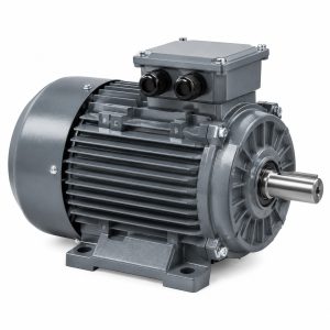 Y2 Series Electric Motor
